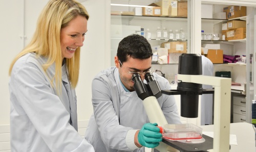 Professor Sarah Cartmell, Lead for Materials in Medicine activity for the Faculty of Science and Engineering