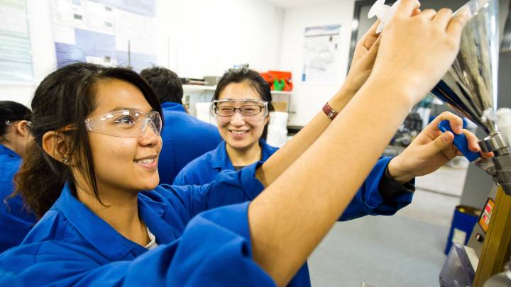 Students working together in a lab